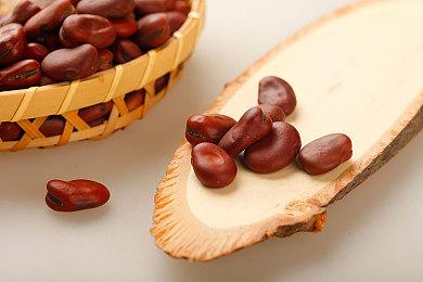 《纪元1800》主机版上线 全平台免费游玩活动开始